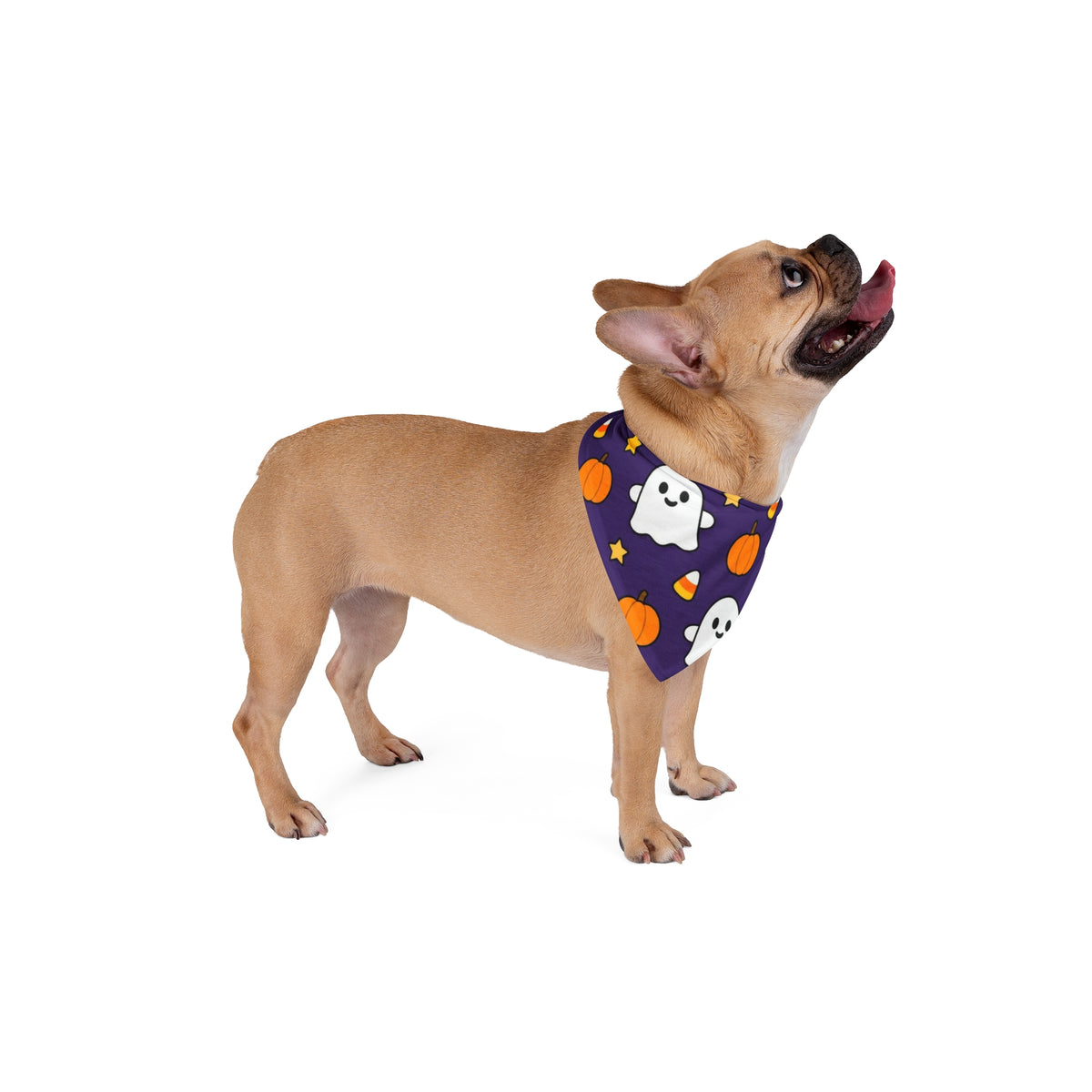 Halloween Dog Bandana, Boo Crew Ghost Pet Bandana, Cute Purple Spooky Dog Scarf, Pumpkin Candy Corn Bandana, Halloween Pet Costume